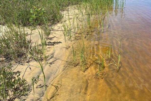 Parcel 26057, Rainy River Remote Area, ON P0W1H0 Photo 5