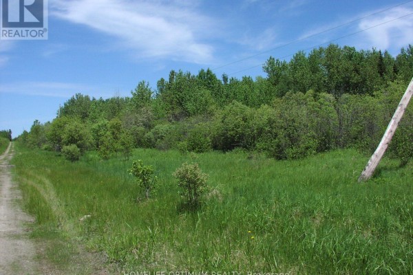 View of a dirt road running alongside a field of green grass and trees. - Parcel 4217 Williamson Township, Val Rita Harty