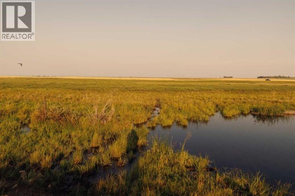 Parcel 6 Range Road 271 Just South Of Highway 9., Rural Rocky View County, AB T0M1G0 Photo 5