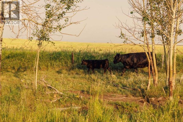Parcel 7 Range Road 271 Just South Of Highway 9., Rural Rocky View County, AB T0M1G0 Photo 2