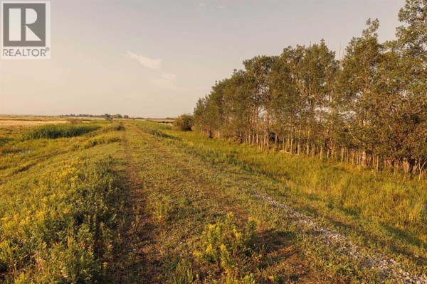 Parcel 7 Range Road 271 Just South Of Highway 9., Rural Rocky View County, AB T0M1G0 Photo 4