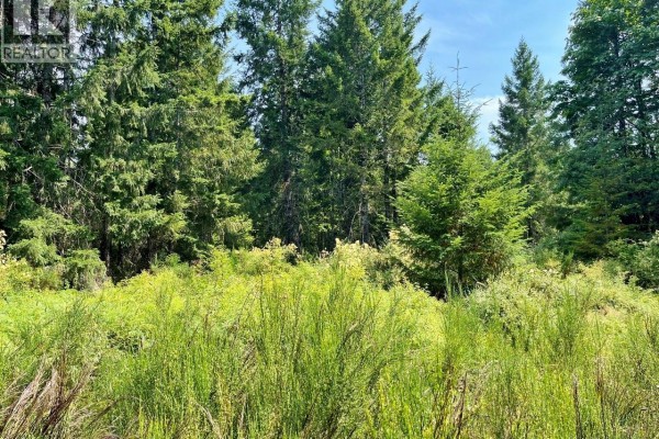 Parcel B Appaloosa Way, Duncan, BC, photo 2
