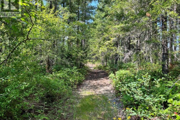 Parcel B Appaloosa Way, Duncan, BC V9L6J1 Photo 4