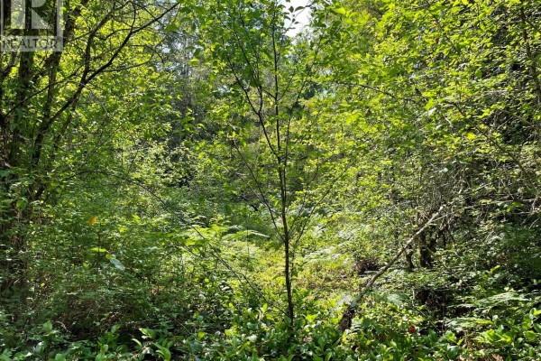 Parcel B Appaloosa Way, Duncan, BC V9L6J1 Photo 5