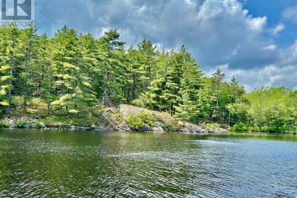 Part 1 Burnt Island, Gravenhurst, ON P0E1G0 Photo 4