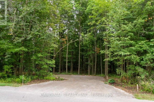 Part 1 Gully Road, Alnwick Haldimand, ON K9A4J8 Photo 2