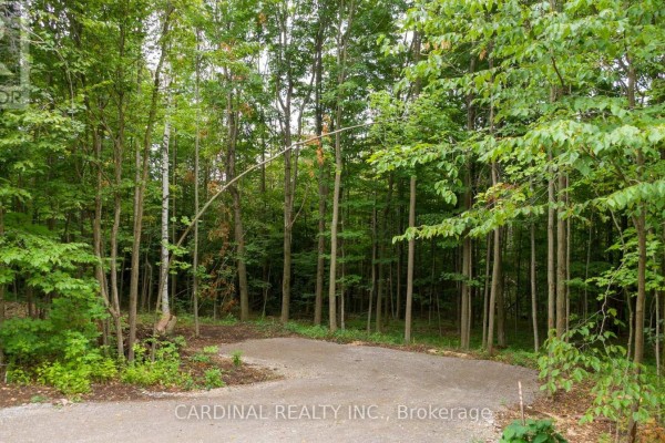 Part 1 Gully Road, Alnwick Haldimand, ON K9A4J8 Photo 3
