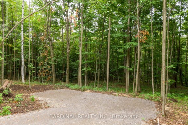 Part 1 Gully Road, Alnwick Haldimand, ON K9A4J8 Photo 4
