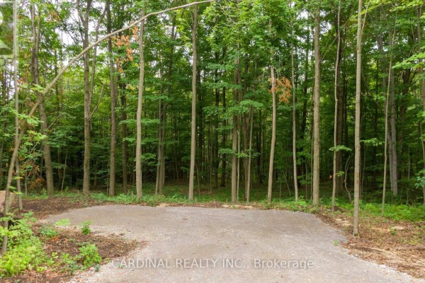 Part 1 Gully Road, Alnwick Haldimand, ON K9A4J8 Photo 5