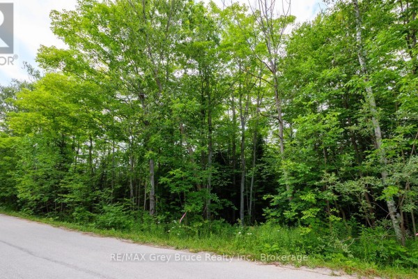 Part 1 Tammy's Cove Road, Northern Bruce Peninsula, ON N0H1Z0 Photo 5