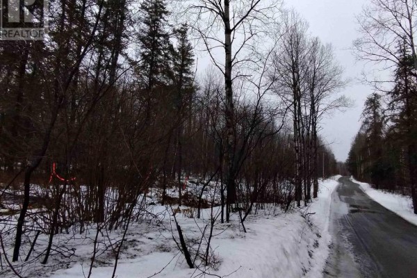 Part 11 Lot 11 Concession 6 Girl Guide Road, Coleman, ON P0J1C0 Photo 2