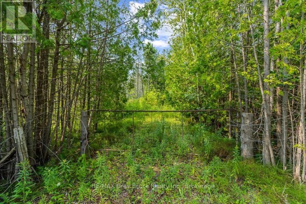 Part 2 Pt Lt 46 Highway 6, Northern Bruce Peninsula, ON, photo 3