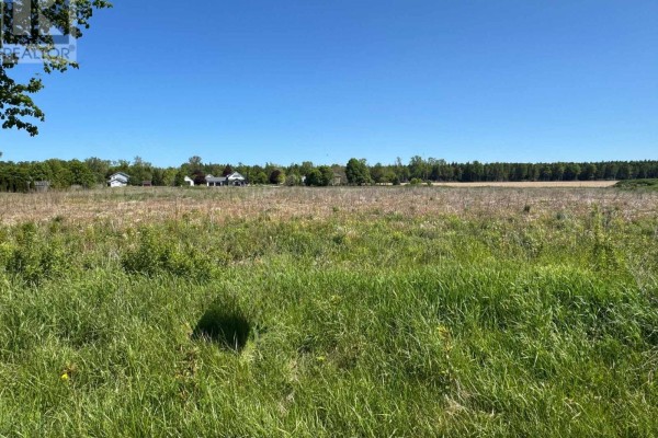 Open field with tall green grass in the foreground and trees and houses in the distance. - Part 3 Kitchigami Road, Central Huron