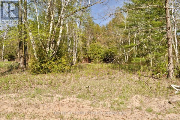 Part 5 W. Ipperwash Road, Lambton Shores, ON N0N1J3 Photo 5