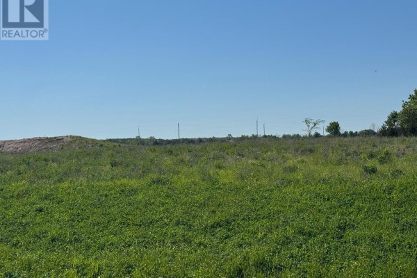 Expansive green field with scattered trees and utility poles under a bright blue sky. - Part 7 Fullerview Drive, Central Huron