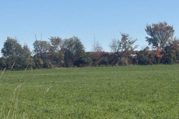 Part Lot 25 Danceland Road, Bluewater, ON N0M2T0 Photo 2