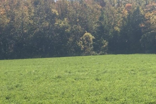 Part Lot 25 Danceland Road, Bluewater, ON N0M2T0 Photo 3