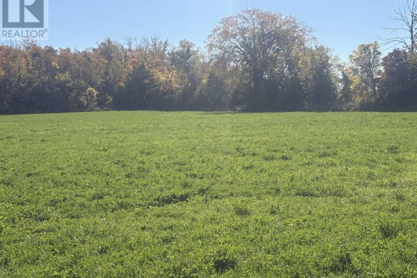 Part Lot 25 Danceland Road, Bluewater, ON N0M2T0 Photo 4