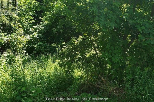 Part Lot 28 12 Concession S, Arran Elderslie, ON, photo 3
