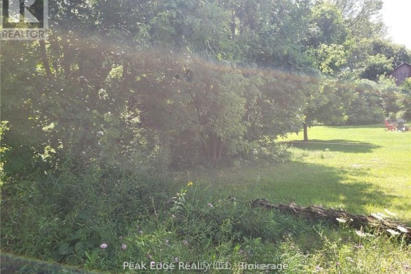 Part Lot 28 12 Concession S, Arran Elderslie, ON N0H1L0 Photo 5