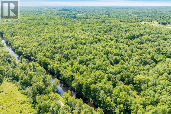 Part Lot 28 Concession 12 Black River Road, Kawartha Lakes, ON, photo 2
