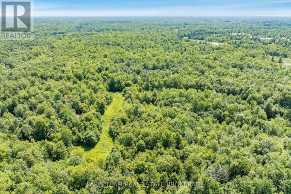 Part Lot 28 Concession 12 Black River Road, Kawartha Lakes, ON L0K1W0 Photo 4