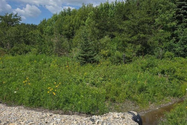 Part Of Lot 2 Con 5 Highway 65 Highway E, Timiskaming, ON P0J1P0 Photo 2