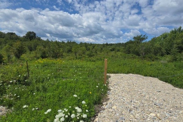 Part Of Lot 2 Con 5 Highway 65 Highway E, Timiskaming, ON P0J1P0 Photo 4