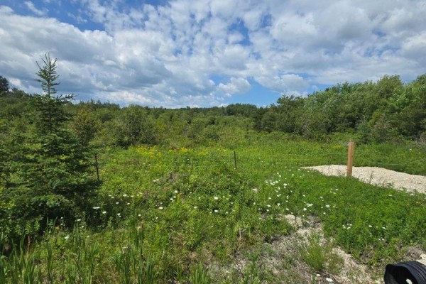 Part Of Lot 2 Con 5 Highway 65 Highway E, Timiskaming, ON P0J1P0 Photo 5