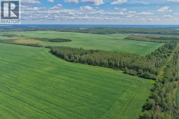 Prespatou Road, Fort St  John, BC V0C2S0 Photo 4