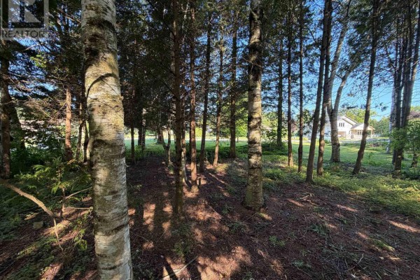 Parts 5 & 6 Kovac Lane, Saugeen Shores, ON N0H2L0 Photo 2