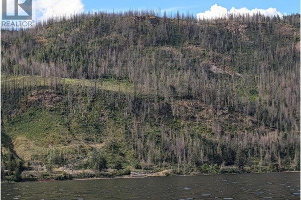 Partsw1/4 Squilax-anglemont Road, Celista, BC V0E1M6 Photo 4