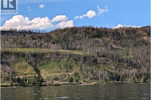 Partsw1/4 Squilax-anglemont Road, Celista, BC V0E1M6 Photo 5