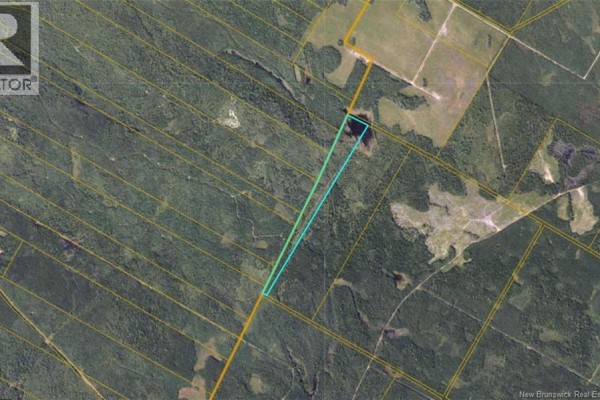 Patterson Road, Johnston, NB E4C1Y7 Photo 2