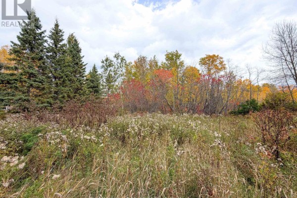 Pcl 11680 Sec Sro Lt 42, Iroquois Falls, ON P0N1E0 Photo 3