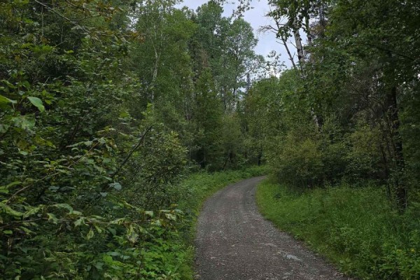 Pcl 15528 & 15527 Martin Bird Road, Kirkland Lake, ON P0K1L0 Photo 3