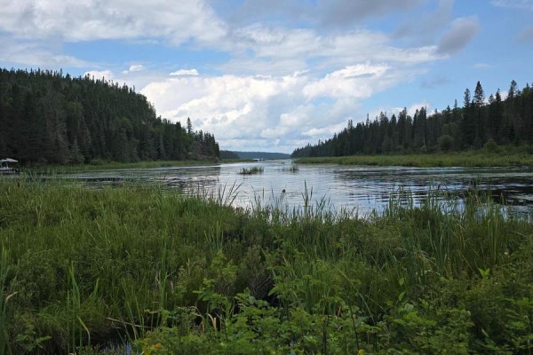 Pcl 15528 & 15527 Martin Bird Road, Kirkland Lake, ON P0K1L0 Photo 4