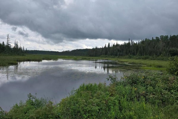 Pcl 15528 & 15527 Martin Bird Road, Kirkland Lake, ON P0K1L0 Photo 5