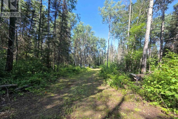 Pcl 17224 North Skead Bayly Road, Kirkland Lake, ON P0K1L0 Photo 5