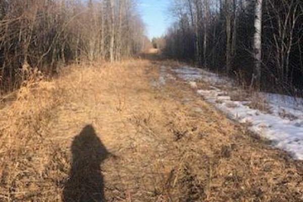 Pcl 21518a Nelles, Rainy River Remote Area, ON P0W1M0 Photo 5