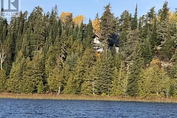 View from the water of a building partially visible through a thick forest of evergreen trees. - Pcl 50 Dog Lake, Missanabie