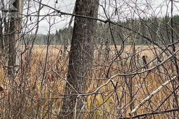 Pcl 7576 0 N, Dryden, ON P0V1P0 Photo 5