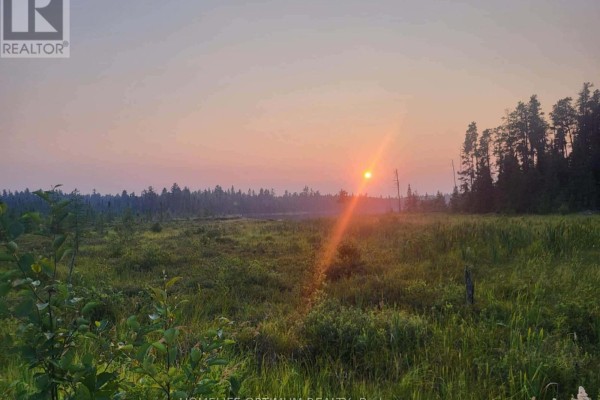 Sunset over a marshy field with tall grass and distant treeline. - Pcl 9194 Revell Township, Kenora