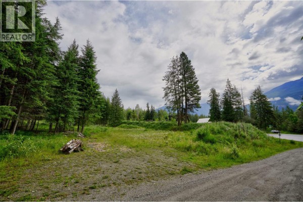 Pcl A Hillside Avenue, Kaslo, BC V0G1M0 Photo 2