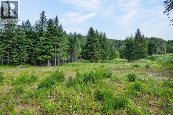 Pcl A Hillside Avenue, Kaslo, BC V0G1M0 Photo 3