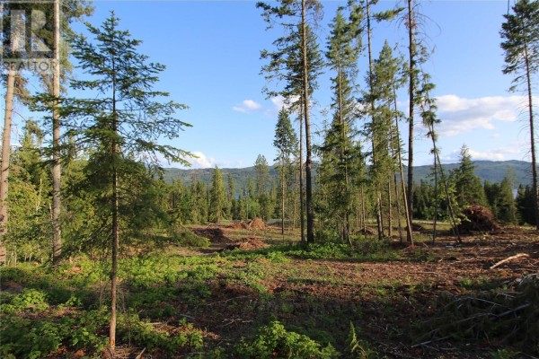 Pcl Z Squilax-anglemont Road, Anglemont, BC V0E1M8 Photo 4