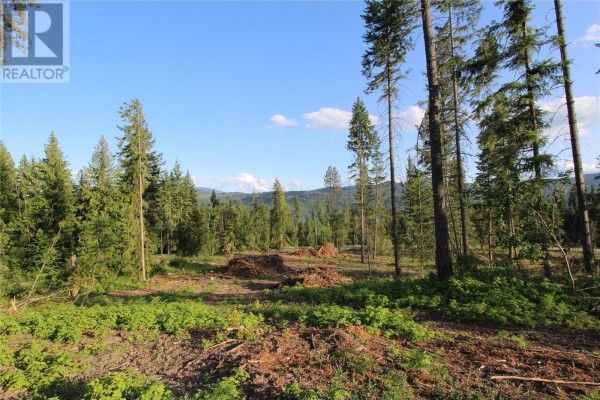 Pcl Z Squilax-anglemont Road, Anglemont, BC V0E1M8 Photo 5
