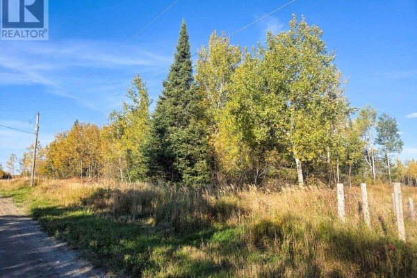 Pcl5224 Little Road, Englehart, ON P0J1H0 Photo 5