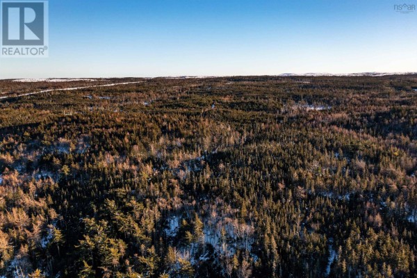 Peas Brook, 16 Highway, Peas Brook, NS B0H1N0 Photo 5