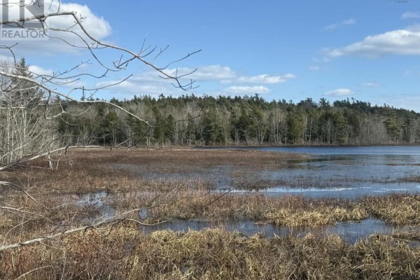 A rough gravel road winds uphill through a dense forest with tall pine and deciduous trees. - Peninsula Road, Hebbville